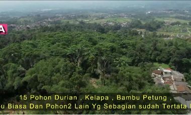 DIJUAL LAHAN PERKEBUNAN - Cigombong, Cisalada, Bogor