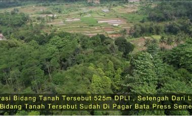 DIJUAL LAHAN PERKEBUNAN - Cigombong, Cisalada, Bogor