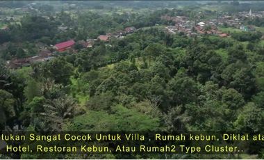 DIJUAL LAHAN PERKEBUNAN - Cigombong, Cisalada, Bogor