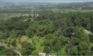 DIJUAL LAHAN PERKEBUNAN - Cigombong, Cisalada, Bogor