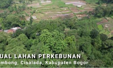 DIJUAL LAHAN PERKEBUNAN - Cigombong, Cisalada, Bogor