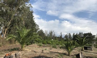 Venta Terreno Puembo 5 hectáreas $ 4.205.120
