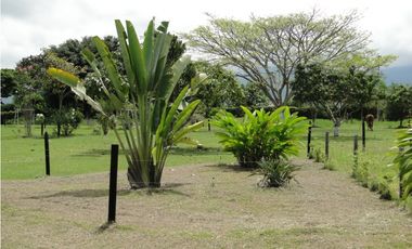 Venta Finca de recreo y produccion en Ginebra Valle