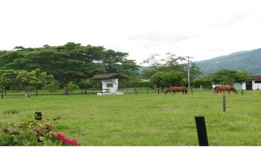 Venta Finca de recreo y produccion en Ginebra Valle