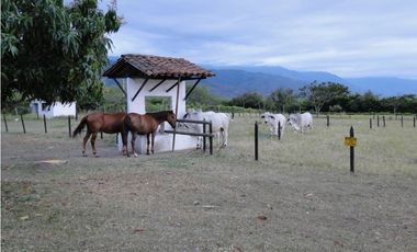 Venta Finca de recreo y produccion en Ginebra Valle