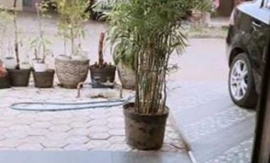 Rumah Murah Kawasan Citra Harmoni Blok ST Sidoarjo