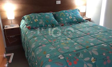 Departamento en Arriendo en eusebio lillo