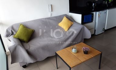 Departamento en Arriendo en eusebio lillo