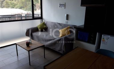 Departamento en Arriendo en eusebio lillo