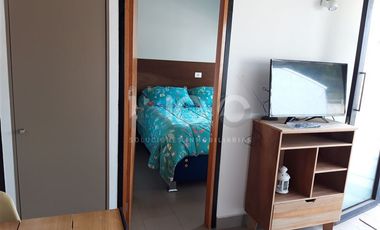 Departamento en Arriendo en eusebio lillo