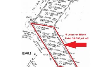 OPORTUNIDAD 5 Lotes en Block total:  39. 390,44 m2. Zona Villa Esquiu
