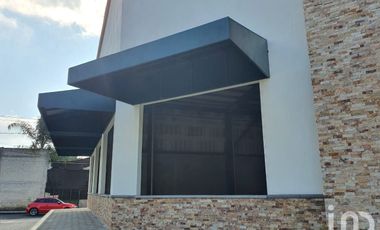 Local de 680m2 en renta en Planta Baja en Orquídeas Coatepec frente a CINETIX