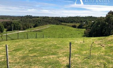 Sitio en Venta en Trapen de Panitao, Lomas de Trapen, varias parcelas