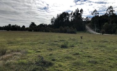 Sitio en Venta en Trapen de Panitao, Lomas de Trapen, varias parcelas