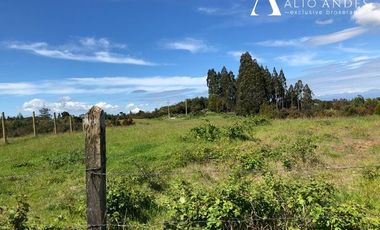 Sitio en Venta en Trapen de Panitao, Lomas de Trapen, varias parcelas