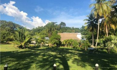 VENTA DE HERMOSA FINCA DE 7 HECTREAS VIA PLANETA RICA