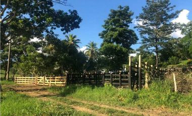 VENTA DE HERMOSA FINCA DE 7 HECTREAS VIA PLANETA RICA