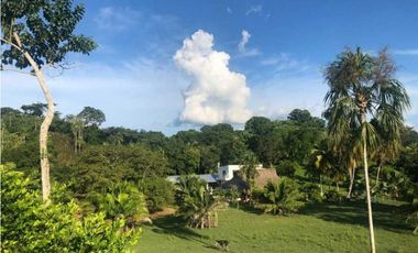 VENTA DE HERMOSA FINCA DE 7 HECTREAS VIA PLANETA RICA