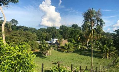 VENTA DE HERMOSA FINCA DE 7 HECTREAS VIA PLANETA RICA