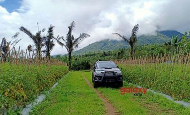 DIJUAL TANAH TITIGALAR BATURITI TABANAN, BALI