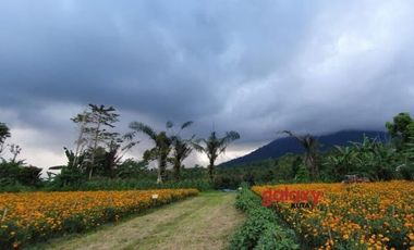 DIJUAL TANAH TITIGALAR BATURITI TABANAN, BALI