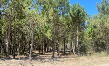 LOTE EN VENTA - MARITIMO IV 70