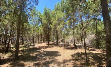 LOTE EN VENTA - MARITIMO IV 70