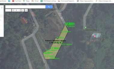 Pansol Calamba Residential Lot For Sale