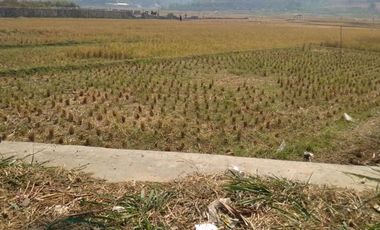 Jual Tanah Komersial 7,2 Ha Di Cihampelas Kota Bandung Barat