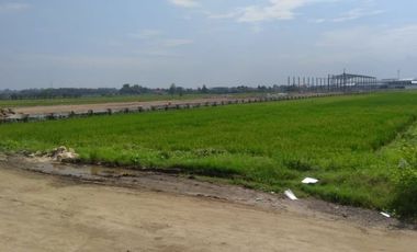 DIJUAL TANAH WRINGINANOM GRESIK