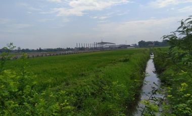 DIJUAL TANAH WRINGINANOM GRESIK