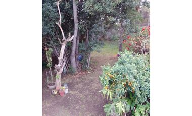 CANADA 5455 entre Rucci y Tokyo