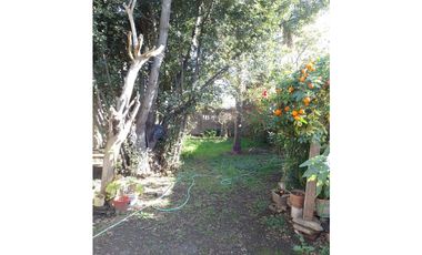 CANADA 5455 entre Rucci y Tokyo