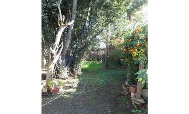 CANADA 5455 entre Rucci y Tokyo