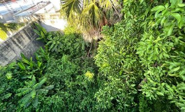Oportunidad de inversion en Cozumel, Precio Reducido, excelente ubicación, terreno en venta