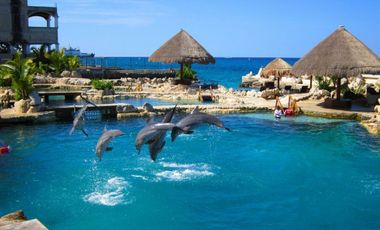 Oportunidad de inversion en Cozumel, Precio Reducido, excelente ubicación, terreno en venta