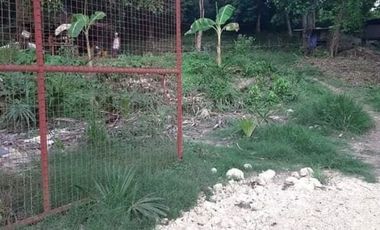 Lot for sale in Liloan, Cebu ideal for Residential, Housing, Condo or Apartment