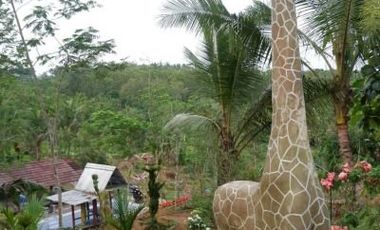 DIJUAL TANAH DI PURWOKERTO