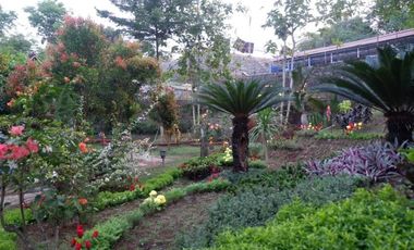 DIJUAL TANAH DI PURWOKERTO