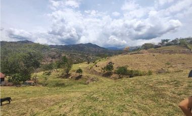 Lote de 1500 M2 en 160 mill en La Mesa Cund, a 12 del parque principa