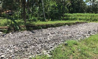 Dijual Kavlingan Kawasan Wisata Borobudur Row Jalan 7 Meter