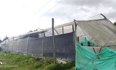 finca en venta en vereda san vicente. Cod V1039012