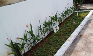 Rumah di Padalarang Bandung Barat dekat KOta Baru Parahyangan Cash 336jt