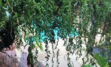 Casa en venta en Ituzaingo Sur