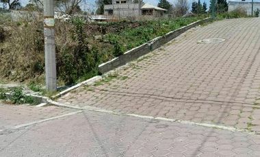 LOTES PRECIOSOS  EN TOTOLAC SUPER UBICADOS