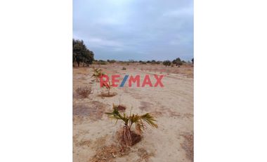 Venta De Terreno En Villa La Palma