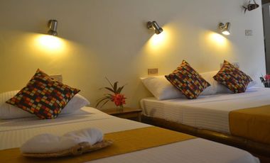 Thriving Beachfront Eco Resort  and Dive Business for SALE on Camiguin Island