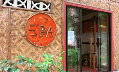 Thriving Beachfront Eco Resort  and Dive Business for SALE on Camiguin Island