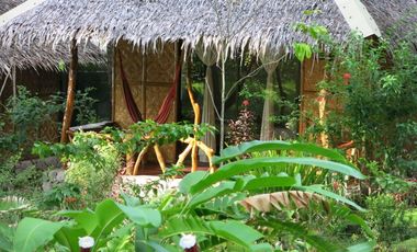 Thriving Beachfront Eco Resort  and Dive Business for SALE on Camiguin Island