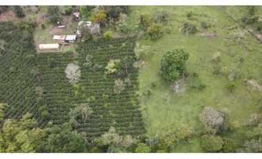 Vendo Finca sobre vía para turismo o producción Salento Quindio